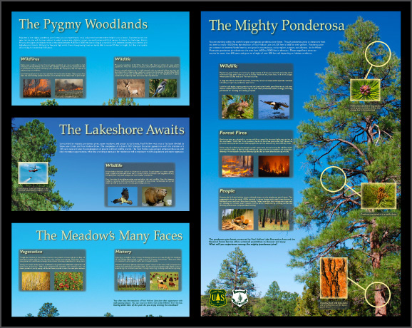 Environmental signage display developed for the United States Forest Service and Arizona State Parks